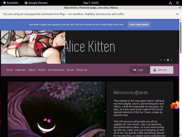 Alice Kitten Special Offer