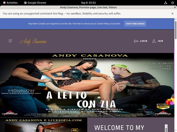 Andycasanova.net Password Site