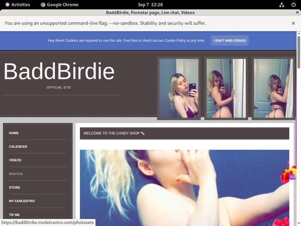 BaddBirdie Free Accounts And Passwords