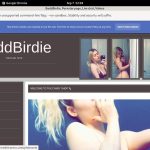 BaddBirdie Premium Accounts