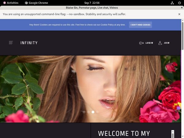 Blaise Sin Paysite Passwords