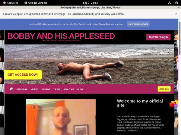 Bobbyappleseed Discount Paypal