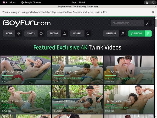 Boyfun.com Checkout