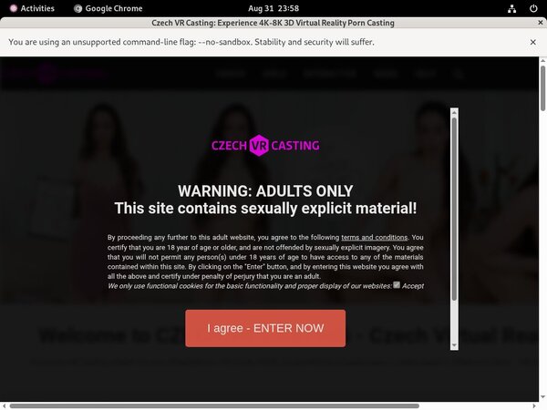 Czech VR Casting Signup Page