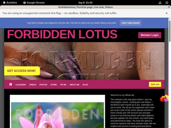 Forbiddenlotus Password Hack