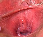 Free Gape My Pussy Trials
