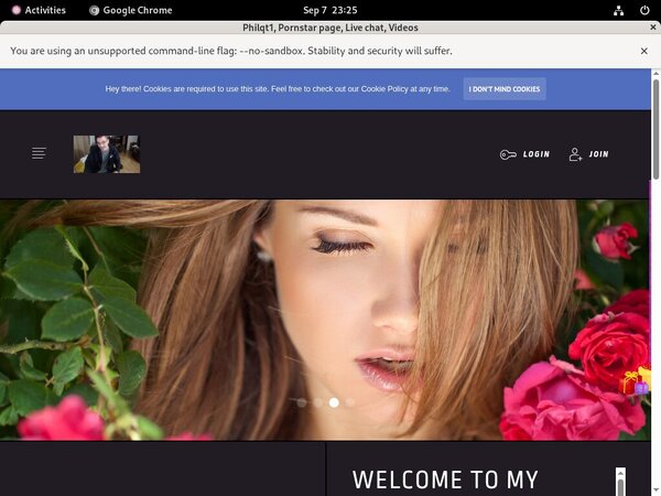 Free Philqt1.modelcentro.com Preview