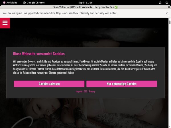 Free Trial SinaValentini Login