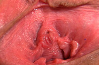 Fresh Gapemypussy Site Rip s0