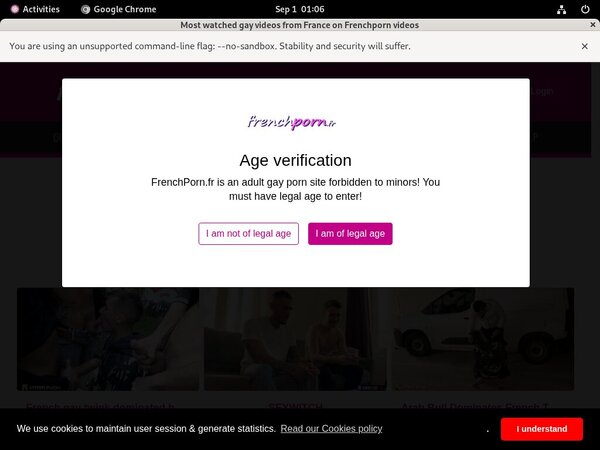 Get Frenchporn.fr Password