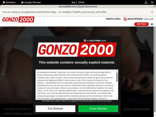 Gonzo2000.com Credits