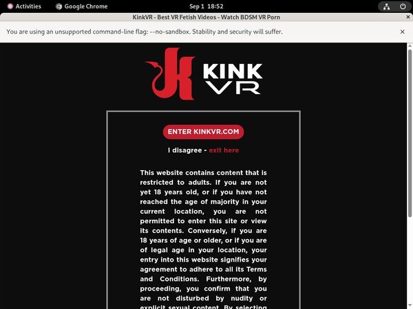 Kink VR Premium Login