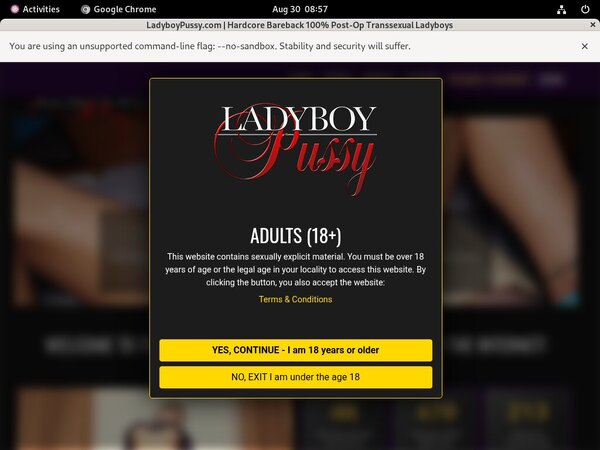 Ladyboy Pussy 4k
