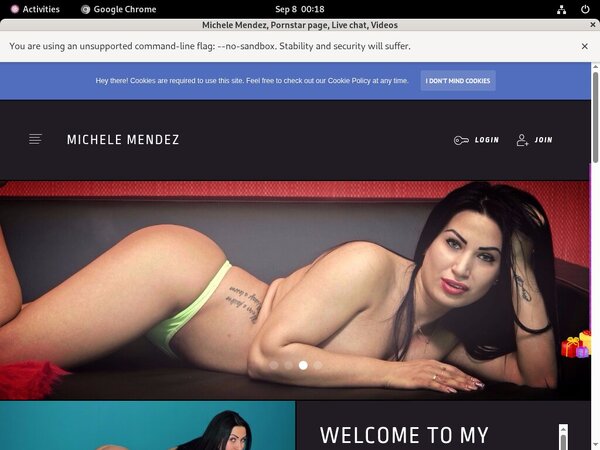 Michelemendez.modelcentro.com Review Site