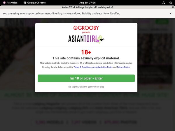 New Ladyboy-ladyboy.com Passwords