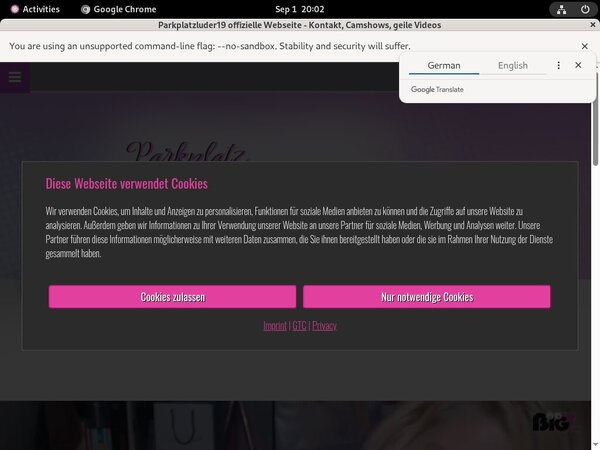 [Image: Parkplatzluder19com-Cheaper-Price.jpg]