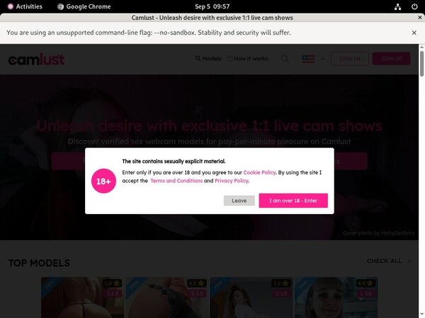 Password Cam Lust Free