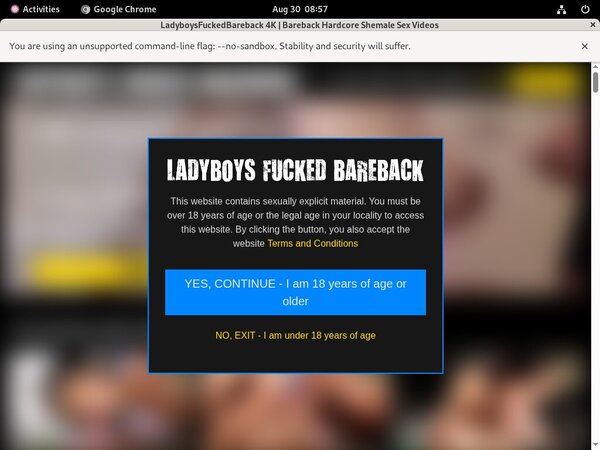 Porn Pass Ladyboys Fucked Bareback