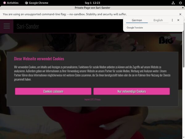 Sari Sander Com Logins