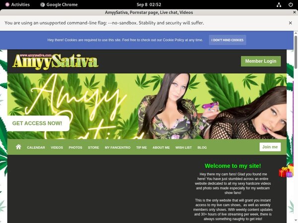 Username And Password For AmyySativa