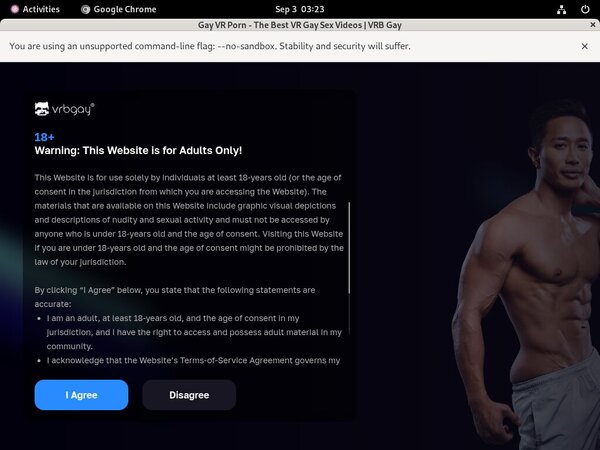 Vrbgay Site Rip Download