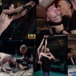 Hd Subspaceland Free